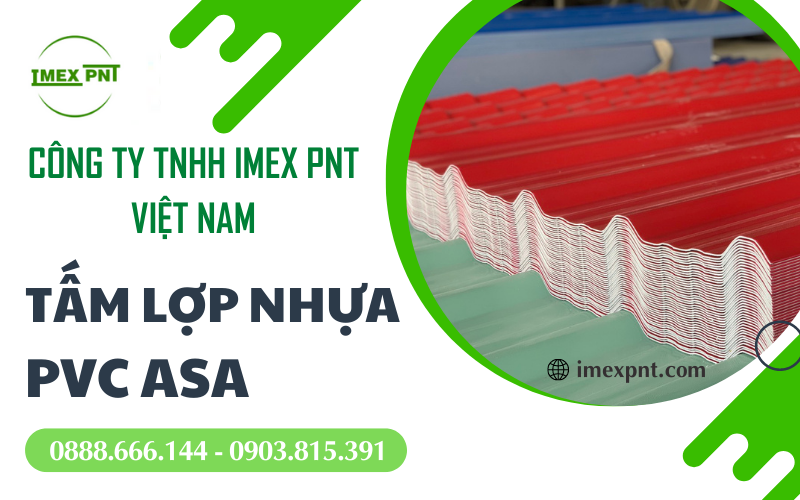 IMEX PNT Việt Nam