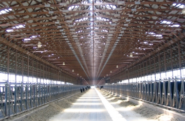 COWSHED ROOFLIGHTS / USA